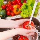 원리식당 이미지