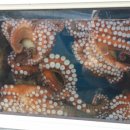 경미식당 이미지