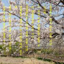 흔들리며 피는 꽃 이미지