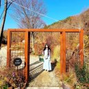 손상모 추천 광교 아트라 헤어 내돈내산 후기