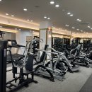 믹스짐 분당구미점 | 성남 구미동 헬스장 '믹스짐 분당구미점' <다양한 기구, 쾌적한 시설, 일일권 가성비>