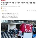 서울 공공장소서 욱일기 가능?…시의회 국힘, '사용 제한 폐지' 발의 이미지