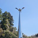 제주산방식당중문점 이미지