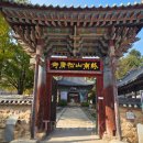 (기획투어)미식순천 이미지