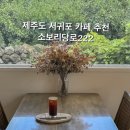소보리당로222 | [제주 서귀포 카페 추천] 소보리당로222 조용하고 한적한 카페