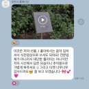 [W-26] 웨딩 촬영 기록(1) | 촬영 체크리스트, 간식, 부케 준비 후기🕊️