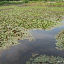 한평소류지 이미지