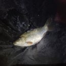 새말낚시터 이미지