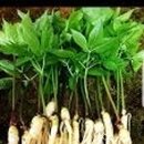 부광공인중개사사무소 이미지