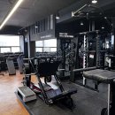 참다한홍삼 횡단보도 이미지