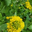 도경농장 이미지