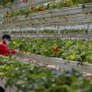 씨앗농부 이미지