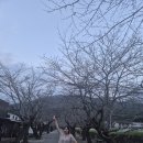 원픽푸드 이미지