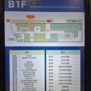 메이플(생활형) 이미지