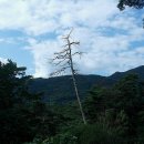 박달재자연휴양림 이미지