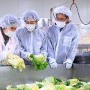 농림수산검역검사본부_상 | 관련 기관들은 다양한 분야를 포괄하며, 농업, 수산업, 축산업과 관련된 연구, 정책, 지원 업무를 수행...