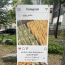 수원-0984 네이버블로그