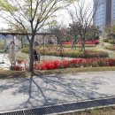 통창공원 이미지