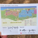 연곡농장 | [강릉백패킹] 드디어 가본 &#39;연곡솔향기캠핑장&#39; C존322, 2박 3일 뚜벅이 후기