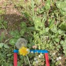 무궁화어린이집 이미지