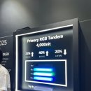 동강자동차유리 | 2025 한국디스플레이산업전시회 후기