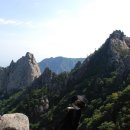 공룡발톱 - 문경시 상신로 7 | 공룡발톱
