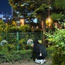 상남2층약국 네이버블로그