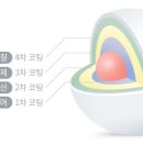 (주)건강백세시대 네이버블로그