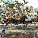 진환농장 이미지