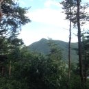 한남축산 이미지