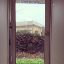 라이앤미 이미지