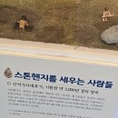 연천고인돌공원 | 선사시대의 생활 모습이 궁금하다면 경기도 연천군 전곡선사박물관