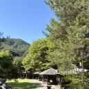 좌구산자연휴양림 | 증평 좌구산자연휴양림 율리휴양촌 백곡김득신 후기 :: 가족 여행, 단체 숙소로 추천!