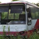 읍애2제 이미지