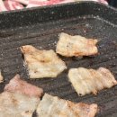 도니조아 이미지