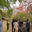 서울특별시송파구치매안심센터 이미지