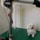 BOB영등포점 이미지