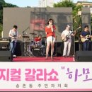 뮤지컬 갈라쇼 한여름의 하모니 이미지