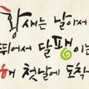 거북이의기적 이미지