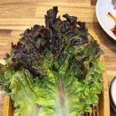 돈통마늘보쌈 안산시청점 이미지