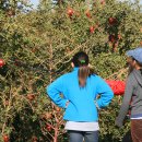 미주농장 이미지