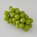 안호농장 이미지