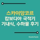 스카이앙코르 항공 기내식 수하물 좌석 등 후기