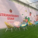 충남농장 이미지