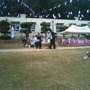 개야도초등학교 이미지