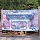 백천사