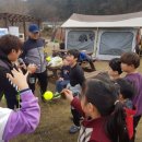 자연의 꿈 이미지