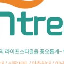 인트리
