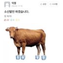 보톡스미용실