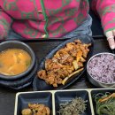 고미고미 이미지